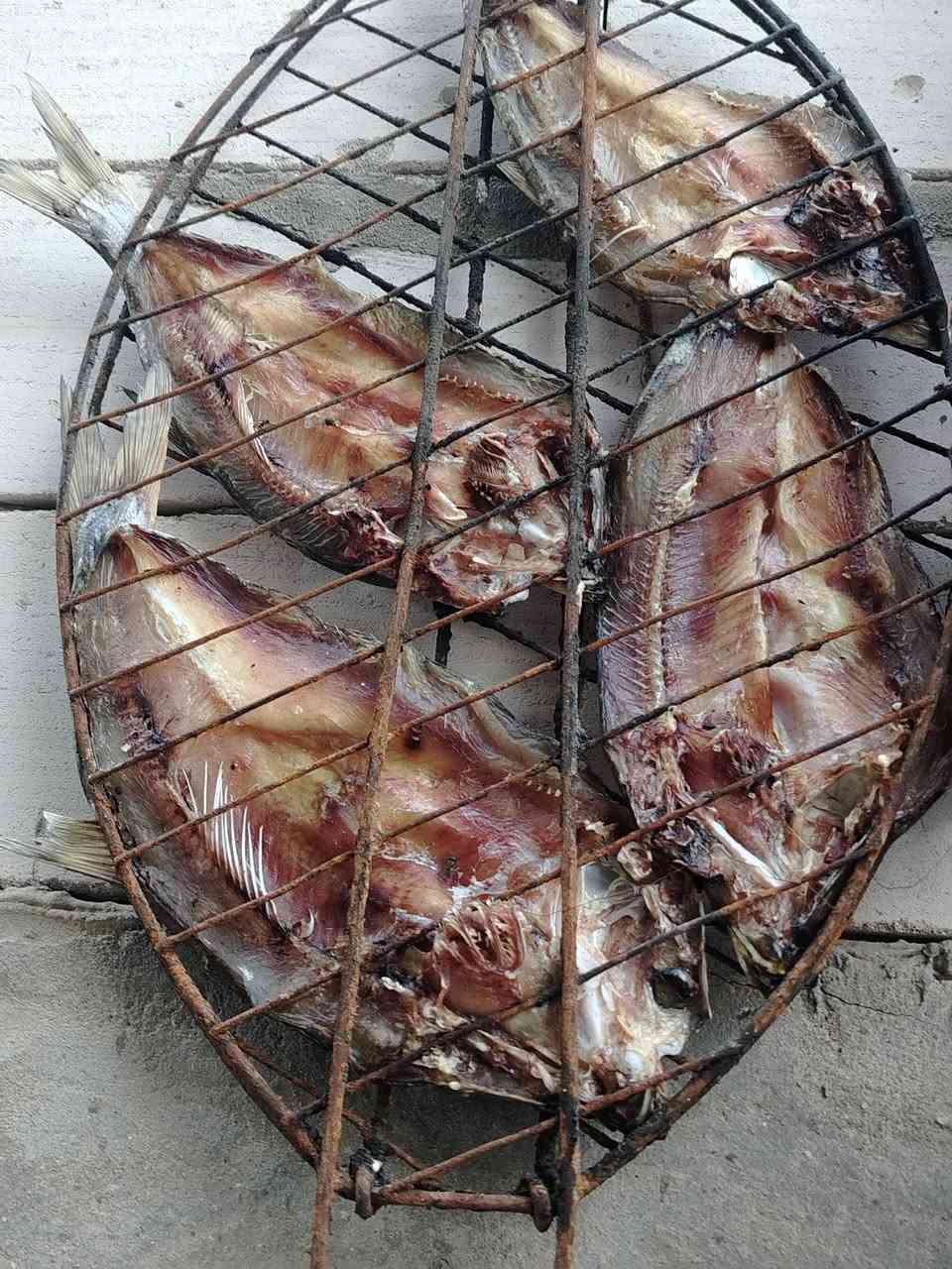 سمك شلك للمصموطه يابس وجاهز ٣قطع ب٥تالاف
العنوان تقاطع حي شهداء الثاني يوجد توصيل ***********
