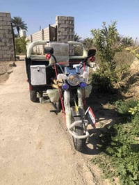 ستوتة • موديل ٢٠٢٠ • أوراق كاملة