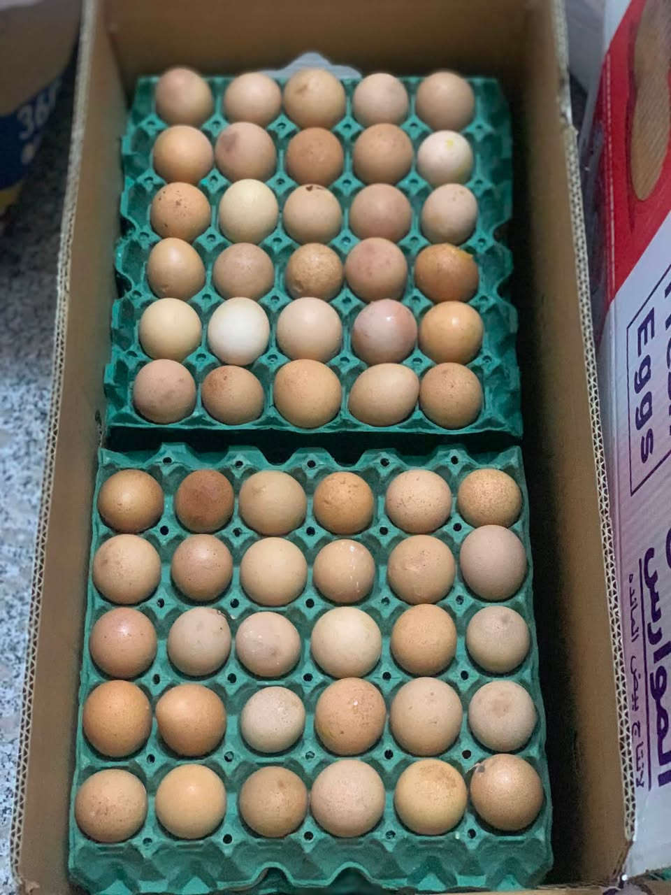 يوجد لدينا بيض عراقي ( مفطر ) ب2 ونص  .. وبيض (عامر) بي فقط نگرة بس خشن ب3 ونص .. الاتصال على  *********** مكاني سلمان باك درعية
