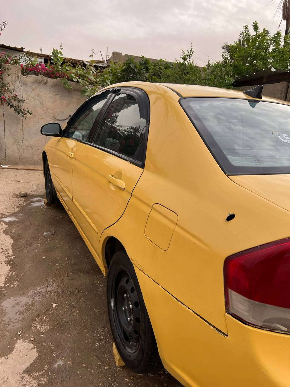 السلام عليكم سبكترا ٢٠٠٧ للبيع كير مكفول مكينه ٢٠٠٠ مكفوله تبريد ثلج حداديه نص عمر ضربته بنيد مبدل او جاملغ السياره جاهزه السعر ٧٠ورقه او بيه مجال المكان كربلاء طوريج رقمي ***********
