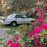 سيدان • ١٩٩٠ • رقم بغداد