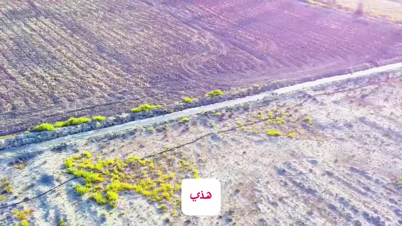 دونم ونص طابو زراعي 
سند ٢٥ 
الاستفسار الاتصال وبخدمتك
***********
***********
@الجميع 
@إشارة
