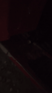 السلام عليكم خوان هورن ميلاد 64 دكة تاروسه مال لكزز مكاني بغداد الدوره سعره 350 وبي مجال الطيبين ***********
