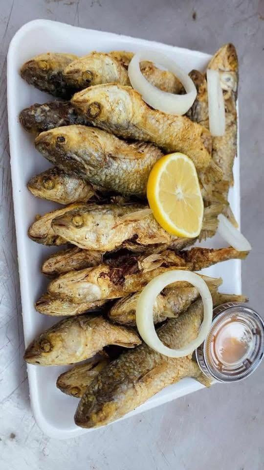 عرض زوري تازة كيلو ب ٥

متوفر للغدا زوري مقلي كيلو ب١٠

للحجز خاص


**إذا كنت صاحب هذا الإعلان وتريد حذفه لأي سبب، رجاءا أرسل رسالة إلى الدعم الفني**