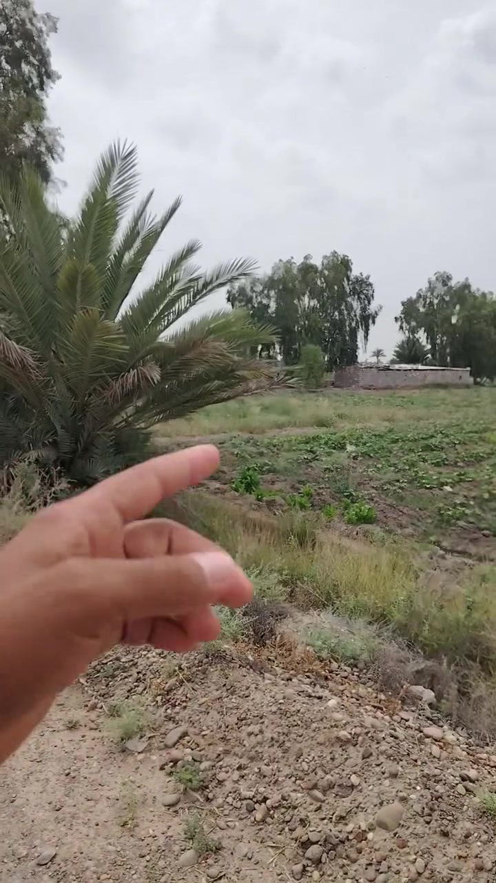 تفاصيل الارض داخل الفيديو
للاستفسار التواصل معي على الرقم التالي
*********** اتصال + واتساب
