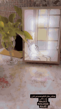 علبة شوكولاتة • توصيل خانقين • جملة ومفرد