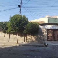 حي البكر • ٣٣٠م • ملك صرف