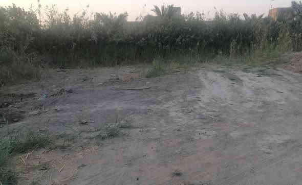 قطعة زراعية للبيع مساحتها ٦٧٠م بوجه ٢٥م  على طريق سوق الشيوخ-ناصريه
قريبة على الفضلية وعن الشارع العام ٦٠م خدمات ماء وكهرباء وبناء أيضاً موجود
على تبليط ٨م وبسعر مناسب جدآ للاستفسار 
***********
