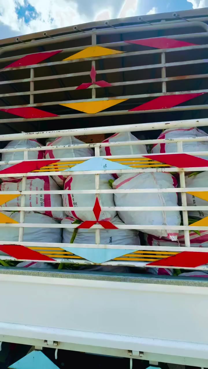 اللهم صل على محمد وال محمد 

ساعه ان شاءالله وتصل باجله كرطانيه فول  حشانه درجه أولى 

كميه خير من الله سعر 550 بل شليف 

يوجد خدمة توصيل الطلبات اتصل على الرقم 
*********** 

علوه احمد رامي ترحب بالجميع حياكم الله
