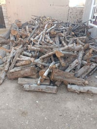 قطع أشجار • شراء أشجار • بستنة