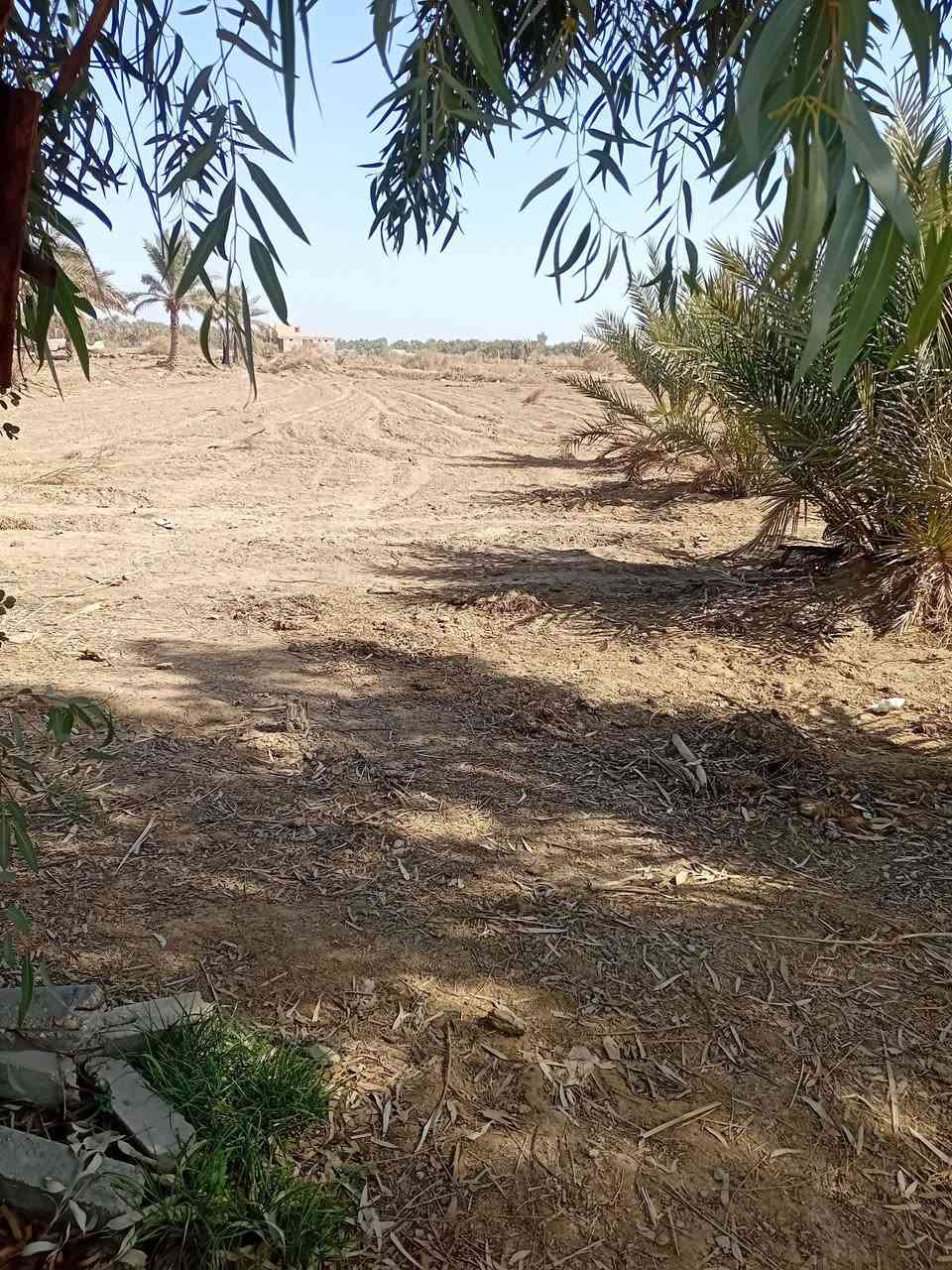 دونم زراعي تحويل مباشر يبعد عن الشارع٥٠ متر مكانه البوعلوان ***********
