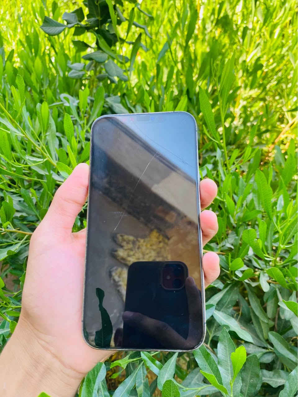 للبيع ايفون 12برو ماكس 
الذاكره ٢٥٦
الجهاز مكفول ١٠٠٪؜
بلادي فقط مبدل بطاريه ٩٥🔋
الباقي كله بلادي حاسبه علا حال الشركه 
كأمره فول 
ملاحضه :الجهاز بي فطر واحد بل كلاص بل شاشه ما مأثر ما مبين 
والضهر مفطر كما موضح بل صوره 
أخي إذا ماتشتري لا تعامل 
السعر300 وبي مجال بيجي, صلاح الدين


**إذا كنت صاحب هذا الإعلان وتريد حذفه لأي سبب، رجاءا أرسل رسالة إلى الدعم الفني**