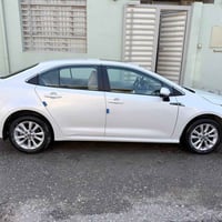 كورلا • ٢٠٢٤ • رقم اربيل