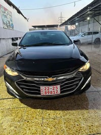 ماليبو • ٢٠٢٣ • بدون صبغ