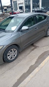 الانترا • ٢٠١٧ • معارض