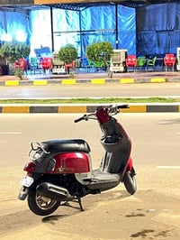 بوليس • نوزل • ٢٠٠٩