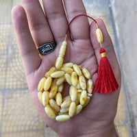 مسباح كهرب • كهرب حر طبيعي • ضمان مدى الحياة