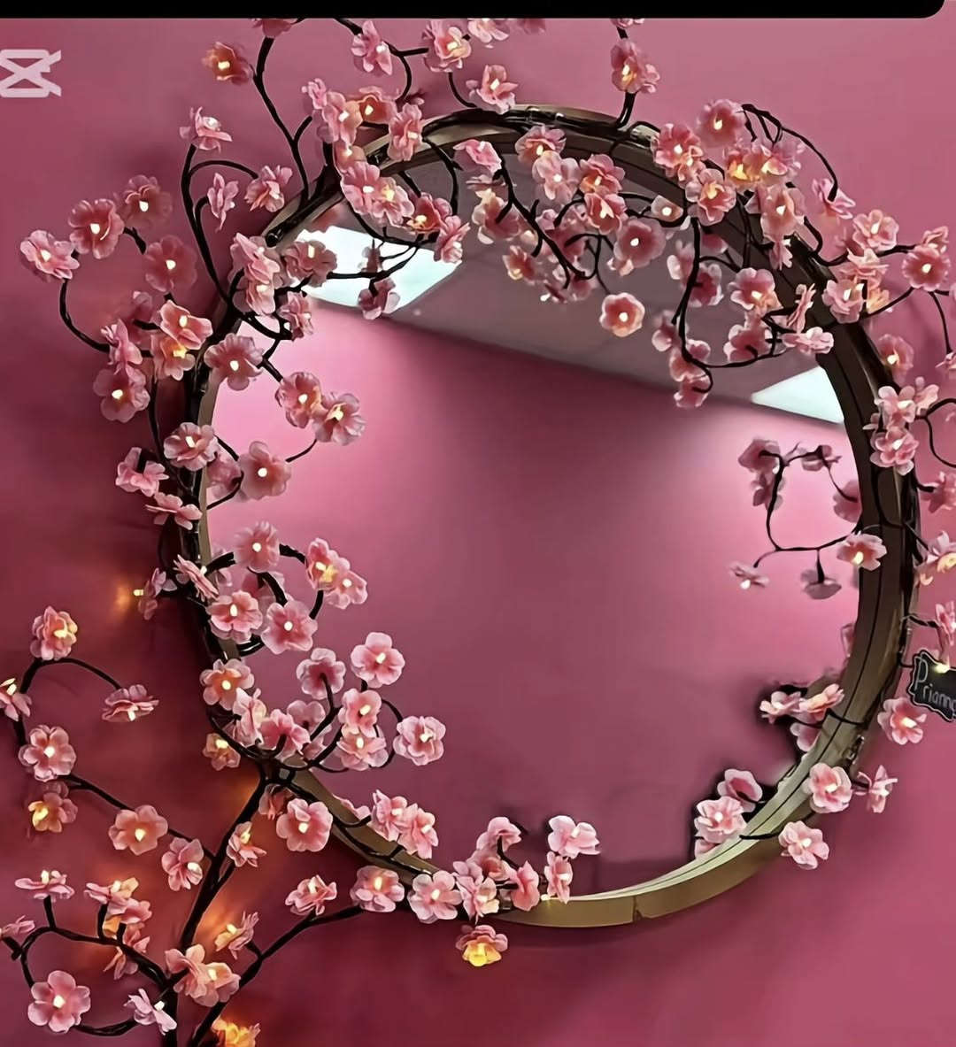 نشرة الورد🌸🌸
السعر 20و التوصيل  مجاني  تعمل على الكهرباء 
الطول 3 متر ؛ مع لاصق ورمونت 
الفحص بوجود المندوب


**إذا كنت صاحب هذا الإعلان وتريد حذفه لأي سبب، رجاءا أرسل رسالة إلى الدعم الفني**