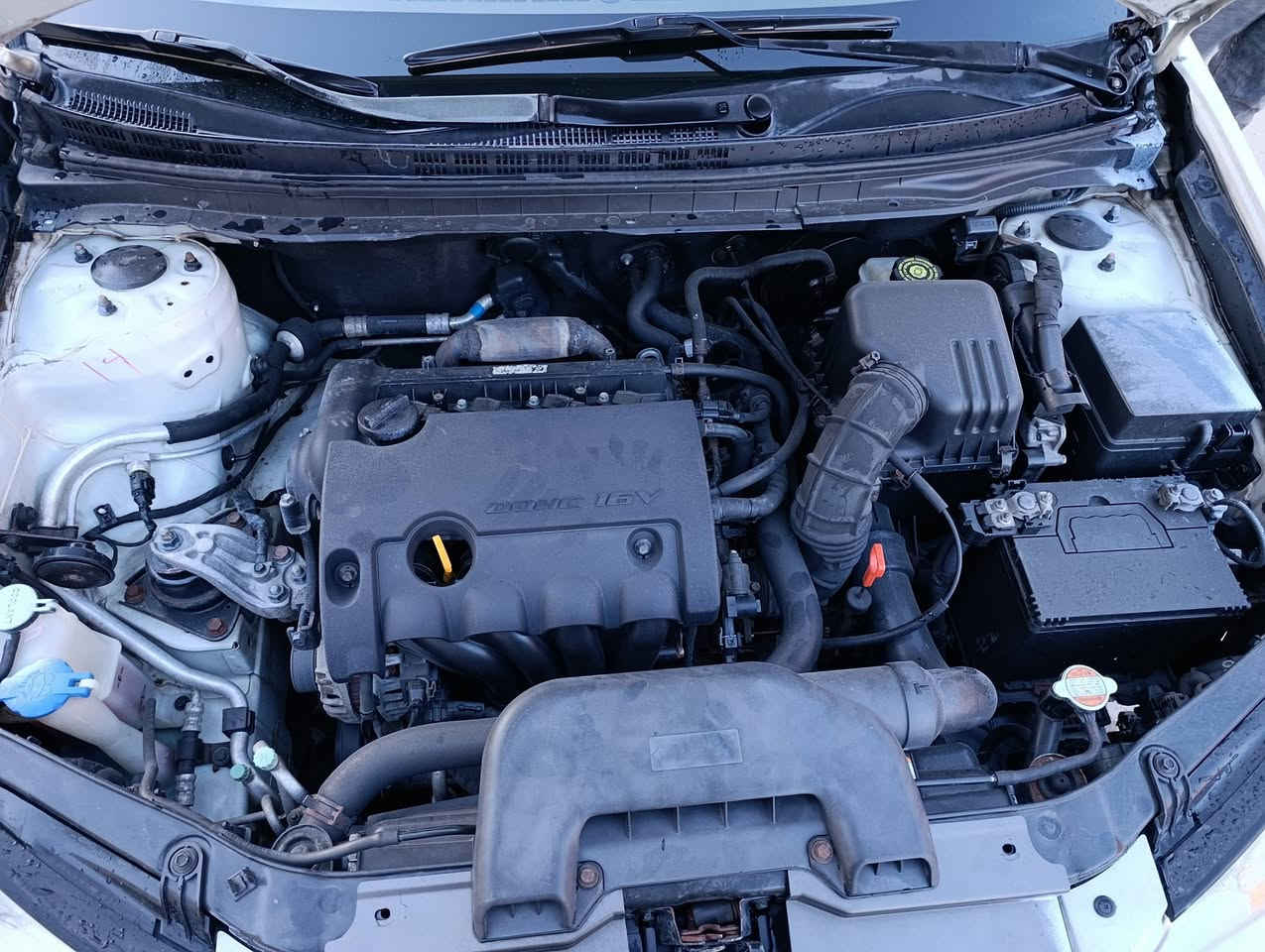 سلامو علایکوم هاوڕێیان
بابەت ...ئاڤانتی سپی بەفری 

مودێل 2007
130هەزاری حەقیقی ڕۆشتوو 

مواسەفادی سادەیە

ویل گەورەی لە ژێرە 

مەسرووفات کراوە

بۆ نرخ و زانیاری پەیوەندی بکە 
 
ئاسیا    ***********
کۆڕەک ***********
