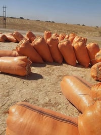 يوجد تبن للبيع شلفان عرض 80وارتفاع 120 تبن  نضيف مال حنطه مو مال  شعير...