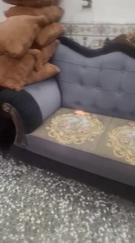 السلام عليكم تخم للبيع تسكام البكان الخطيب الزراعي


**إذا كنت صاحب هذا الإعلان وتريد حذفه لأي سبب، رجاءا أرسل رسالة إلى الدعم الفني**
