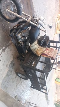 ستوته • بدون وراق • المجر الكبير