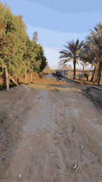 🔴مزرعة للبيع !

🏫المكان : الحله منطقة عنانه

📐المساحة  [ متر ٩٠٠ مربع]،

 شارع جدا واسع

قريب من الشط الحله

  [ متوفر بيها اغلب انواع النخيل والحمضيات ] 

🏡 مساحه جدا واسعه

💰 السعر ب ٢٥ مليون 
قابل للتفاوض

لا تفوّت الفرصة… 🔑

تواصل معنا الآن على الرقم التالي

 [***********]

 واحجز موعدك للمعاينة.

🏡 دار العمر بانتظارك!"
 

 #تابعونا #عقارات_عنانه
