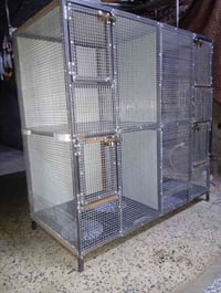 شغل جديد • البصرة