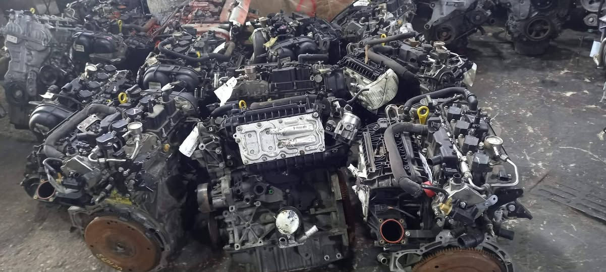 السلام عليكم .. من رخصة الادمن الطيب🌹 
يتوفر لدى محل علي طالب فورد  
مكاين 1500 توربو من ٢٠١٧ لل٢٠٢٠ 
او اذا تريد بس قطع منها هم ماكو مشكلة 
نوزلات مجاول  فلاوين .. قبغ ولفات و واشر قبغ ولفات و غيرها ... ... 
توربو و مشاكلة متوفر بسعر كلش حلو مع الظمان 🌹
عبوات فيول بم و الي يريد بس فلاتر فيول بم او بس الماطور مال فيول بم 
ماسحات دهون و فلاتر دهن و شوته و تبريد 
للعلم فحص السيارة بجهاز luanch مجاني 🌹
العنوان بغداد ساحة الطيران قرب
***********
***********
موقع كوكل ماب 

https://maps.app.goo.gl/PRKtLpV2CSKTJAsS7?g_st=ac
