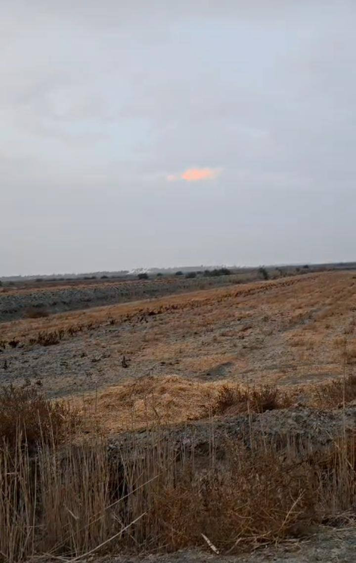 @إشارة 
قطعة ارض للبيع في بابل على طريق سده محاويل ١٢٠ دونم تبعد عن الشارع ١ كم سند 25  تحويل مباشر الأرض حلوه وزاعيه الشارع مالته ١٠م عرضه السعر ٣٩مليون للدونم الواحد وبيه مجال
للاستفسار الاتصال على الرقم 
***********
