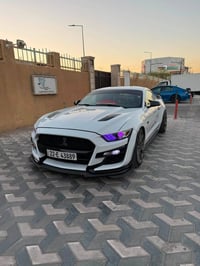 موستنج GT • V8 5.0 • ٢٠١٦