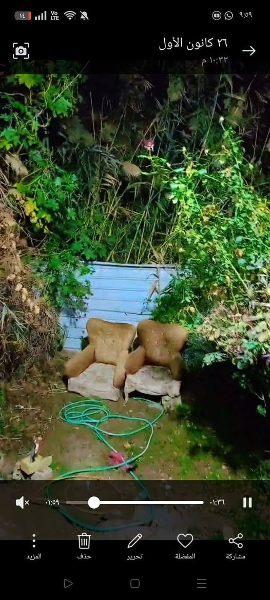 بيت للبيع يتكون من غرفتين وصاله واستقبال ومطبخ وصحيات وحديقه والمساحه 150

السعر / 52 مليون 
العنوان / شارع المدرسة الدينية 
وهءا رقم راعيته / ‏‪***********‬‏
