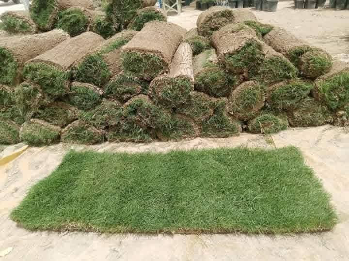 موسم خير ورزق حلال. يالله
مع بدايه موسم الربيع لعام 2026
تم نشاء حديقه رقم (8) خلال هذا لشهر
#حديقه_الاخت_دكتوره_ام_ناريمان
في الحله /الخسرويه
للاتصال او مراسله وتس اب ***********
#ضمان_العمل_10_سنوات
#متابعه_مجاناا_4اشهر

#اخوكم المهندس الزراعي
@إشارة
