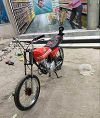 دراجة معمّرة • بدون أوراق • شمعه أصلي