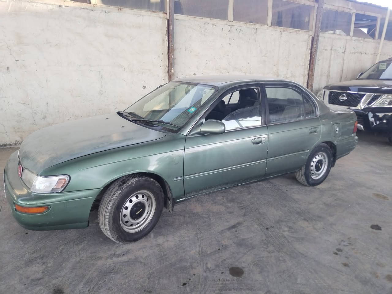 السلام عليكم كورله ١٩٩٤ مكفوله كصه وضربه رقم كربلاء دولي سنويه لل٣٠ مكينه وكير حداديه كله جاهزه مكاني نجف كوفه *********** شراي يتصل
