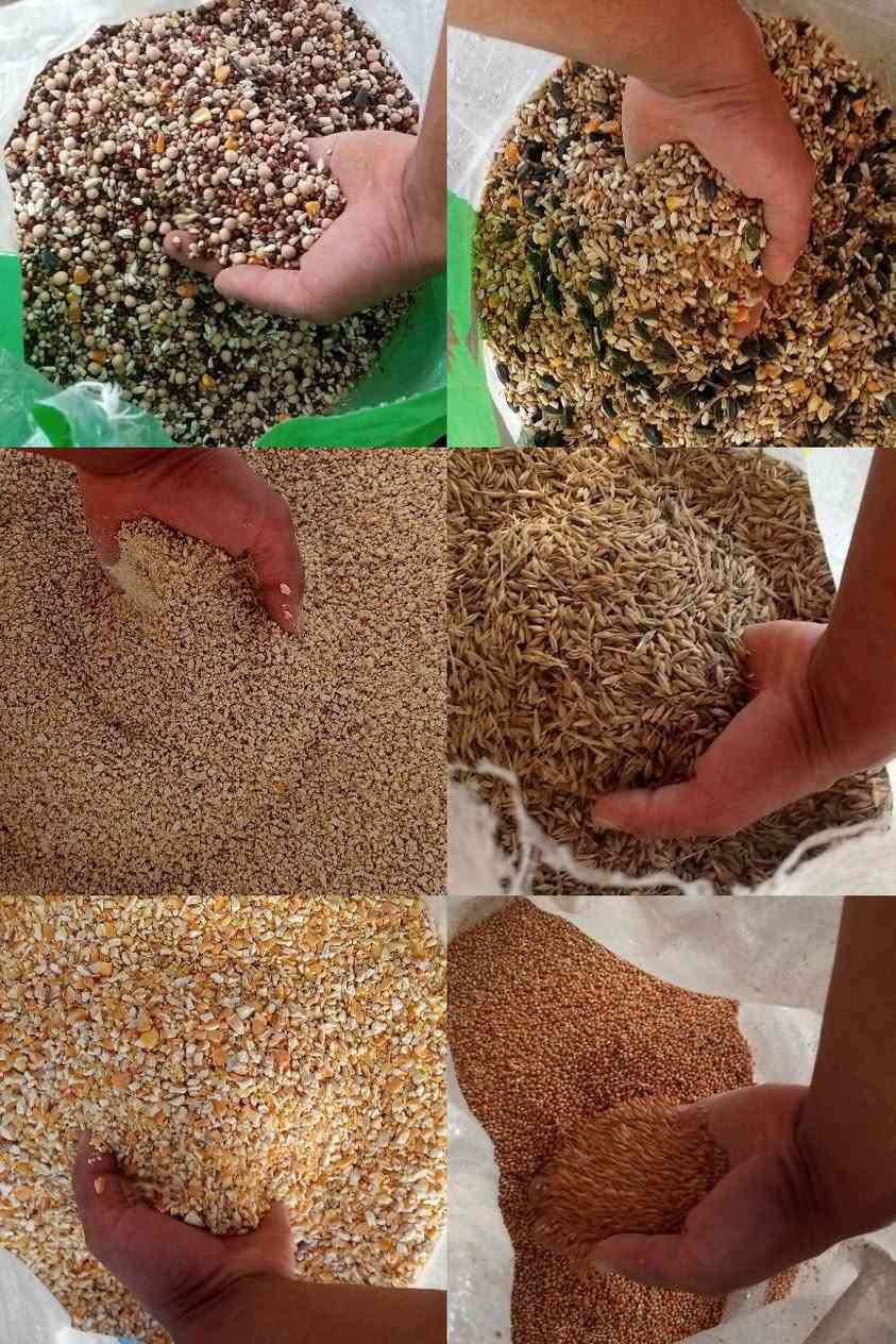 على بركه الله تعالى تم افتتاح
علوه واعلاف البركه
متوفر لدينا نخاله عراقيه درجه اولى
متوفر ايضا كافه اعلاف الطيور من 
دخن 
بروتين خشن وناعم
مخبوطه 
شعير
وحنطه درجه اولى 
العنوان شارع ساطي مجاور معهد الامراء الاهلي 
باداره مصطفى التميمي 
رقم الهاتف ***********
***********
