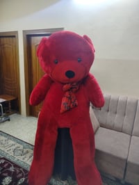 دب احمر • ١٧٠سم • نضيف جدا