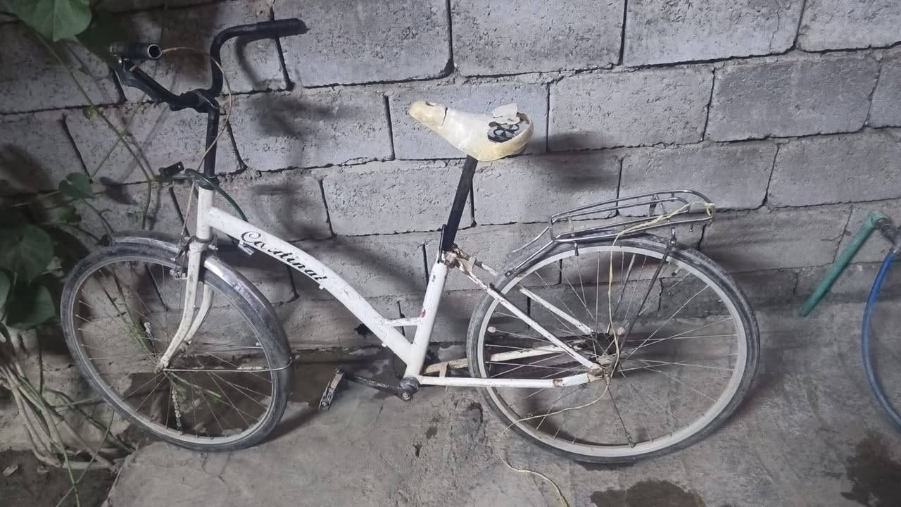 باسكل اللبيع سعر 25بيه مجال حي عرار


**إذا كنت صاحب هذا الإعلان وتريد حذفه لأي سبب، رجاءا أرسل رسالة إلى الدعم الفني**
