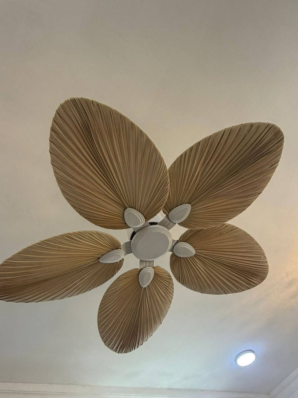 إعلان بيع أغراض مستعملة (بحالة الجديد)
أغراض مستعملة استعمال خفيف لمدة 6 أشهر فقط
بحالة ممتازة وقريبة من الجديد
📍 المكان: بغداد / الدورة
📞 للتواصل عبر واتساب: ***********
الجادين فقط، والسعر قابل للتفاوض ✨
