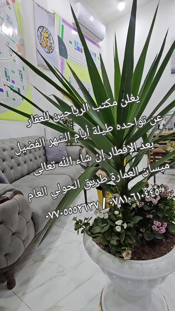 اللهم صلِ على محمدٍ وآل محمد
تقبل الله صيامكم و طاعاتكم بأحسن قبول .

يعُلن مكتب الرياحين للعقار  #عن_تواجده

#بعد_الإفطار إن شاء الله طيلة أيام الشهر الفضيل

خدمةً لأهلنا وعوائلنا الميسانية الكريمة .

#ملاحظة: المكتب مجاز من قبل الدولة .

رقم الإجازة (  ٢١٠٤٤  ) 

أستاذ أحمد  :  *********** / ***********

عنوانا : ميسان / العمارة #بداية الطريق الحولي العام

#ملاحظة: المكتب مجاز من قبل الدولة .

رقم الإجازة (  ٢١٠٤٤  ) 

أستاذ أحمد  :  *********** / ***********

عنوانا : ميسان/ العمارة / طريق الحولي العام
