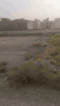 الرمادي • طابو زراعي • ٢٧٦م