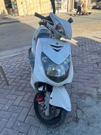 سكنس فحل نوزل للبيع مكفوله مولحه مال رنبه سعرها 1200 الاعظمية قرب المق...