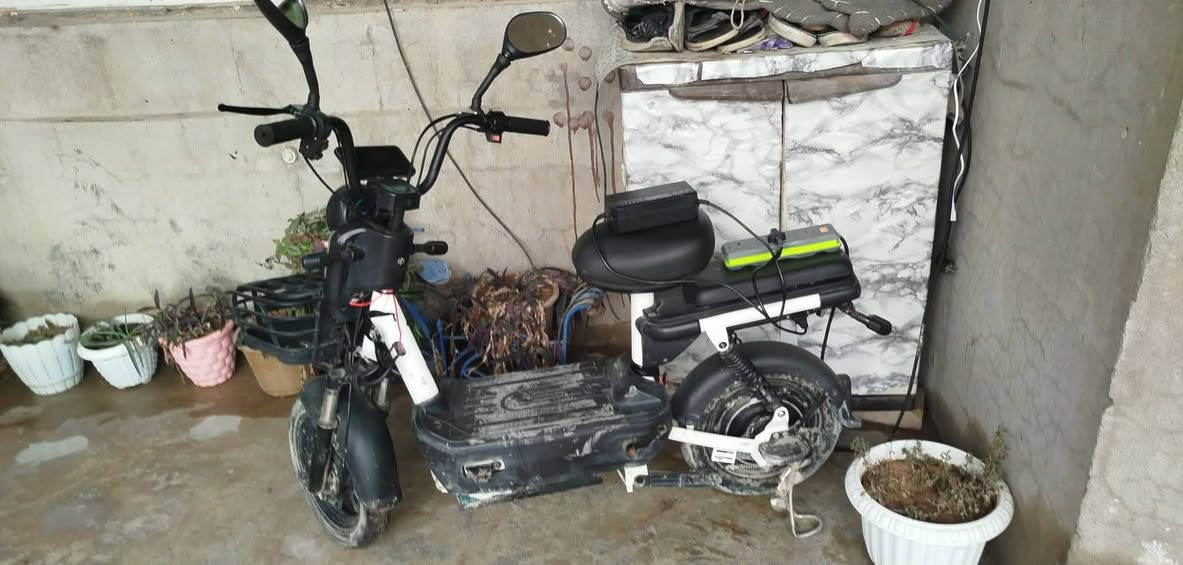 سلام عليكم باسكيل شحن حجم 14 اربعه بطاريات 3 كير شاحنه موجوده بس عيب طلعت بي عله السوك او اجيت اشو وكف بس شاشه تشتقل اشاير لايت كلشي يشتقل بس ما يمشي ابيع جف تراب 100 بي مجال مكان كركوك فيلق رقم الهاتف ***********
