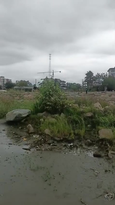 🌹بسمه تعالئ🌹
✈️سفرة الى ايران
قم ♡ مشهد ♡ شمال ايران جالوس رامسر جواهردة
مدة السفرق( ١٢) ايام
يوم (10 / 7) ٤ ايام مشهد ٤ ايام قم ٣ ايام شمال ايران مع ثلاث وجبات طعام          🔥في مشهد
ذهاب طيران ✈️ الى مشهد جولات سياحيه ودينيه  ثم قطار 🚅 الى قم ثم الى الشمال وباص 🚎 الى مهران ثم الى بغداد ♡ كل هاي (550) الف واذا بدون شمال( 400) الف للحجز الاتصال على الارقام التاليه
( ***********)
( *********** 
ياسين العلاق
بغداد.. البلديات.. الصحفين
ملاحظه. الطفل دون 5 سنوات فقط مبلغ الطائرة
