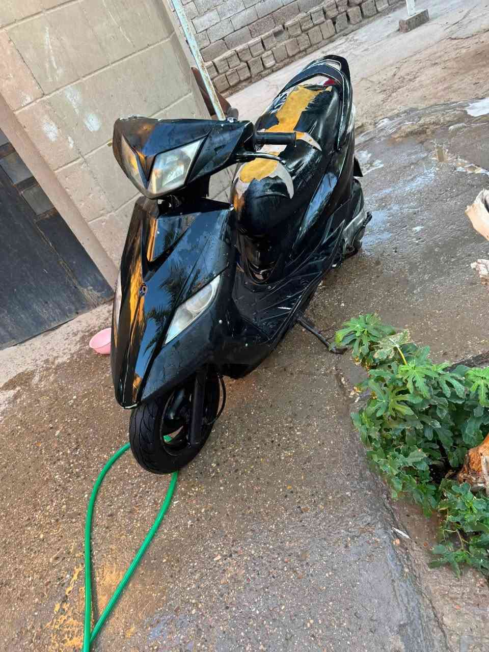 ثعلب للبيع مابيه اي نقص جديده سعر300الف
***********
