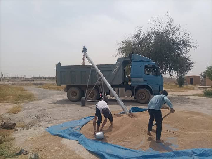 سلام عليكم للبيع برينه تحميل حنطه جاهزه ماطور جديد وماعايزه شي بس تشغل السعر 17وبيه مجال  العلم مجاور حي الصناعه  الاستفسار الاتصال ‏‪***********‬‏. ‏‪***********‬‏
