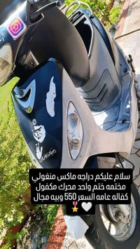 ماكس منغولي • مختمه • كفاله عامه