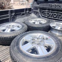 تخم ويل كب • شركه شرط