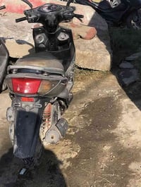 سكنس • فحل نوزل • بغداد