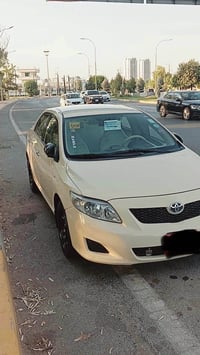 بيكاشوو • ٢٠١٠ • ١٣ مخالفة